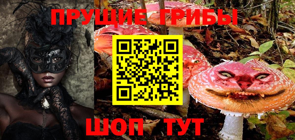 Галлюциногенные грибы Magic Shrooms  Вход с VPN  Элиста 